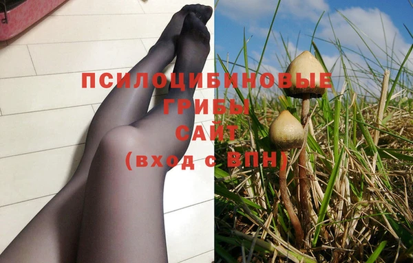 mdpv Заводоуковск