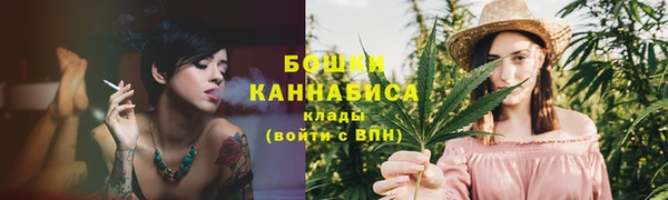 mdpv Заводоуковск