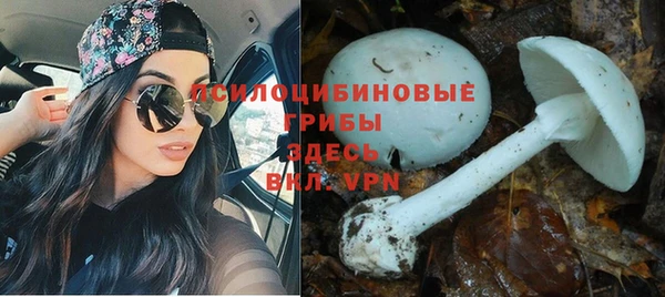 а пвп мука Заволжск