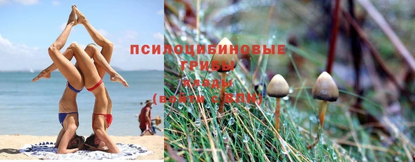 а пвп мука Заволжск