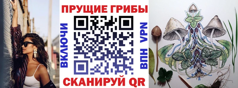 Псилоцибиновые грибы Magic Shrooms  Купить закладки  Жиздра 