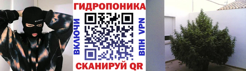 Купить где  Жиздра  Конопля сатива 